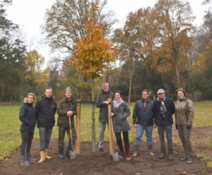 bbn maakt bomen herplant mogelijk op &#8216;s-Gravelandse buitenplaatsen