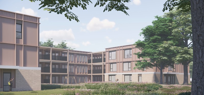 Maartenswouden, Drachten